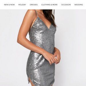 Tobi S/P silver sequin bodycon party dress...think New Year's.